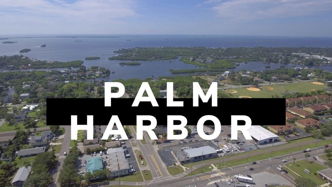 Palm Harbor, Florida Golf Carts for sale
