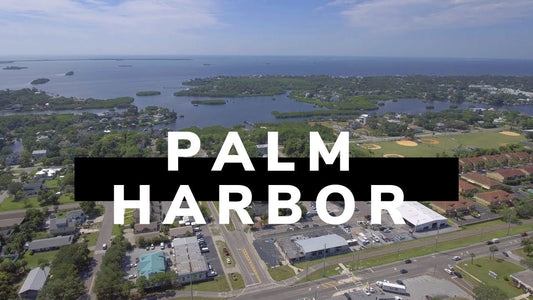 Palm Harbor, Florida Golf Carts for sale