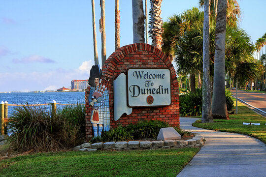 Dunedin, Florida Golf Carts For Sale